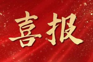 雀跃欢呼 | 开云(中国)Kaiyun·官方网站-登录入口集团荣膺佬麻雀“最佳战略合作伙伴”